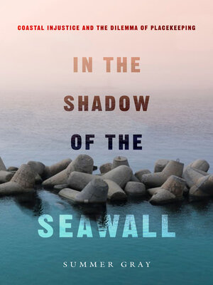 cover image of In the Shadow of the Seawall